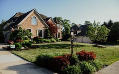 Top 2025 Landscaping Trends: Eco-Friendly, Low-Maintenance, and Beautiful Outdoor Ideas