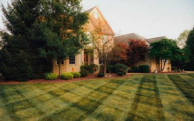Why Fall Landscape Maintenance Is So Important