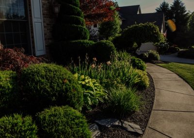 Amato project home exterior