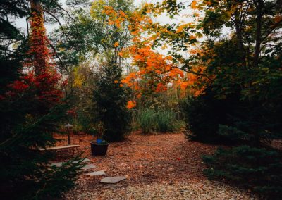 Amato project yard in fall