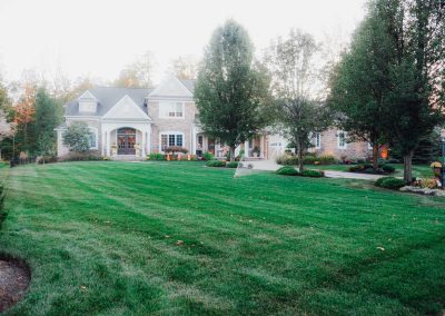 Ganley project grass