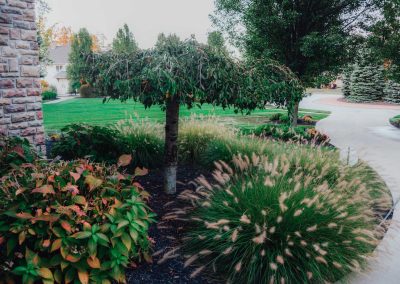 Ganley project flower bed