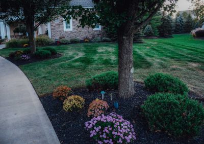 Ganley project flower bed