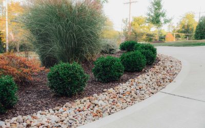 What’s Included in a Year-Round Landscape Maintenance Plan?