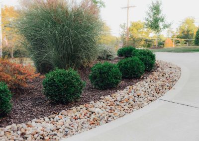 Harsh project flower bed