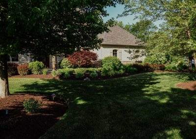 Petras project backyard