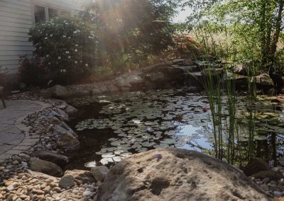 Petras project fountain