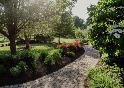 Petras project walkway