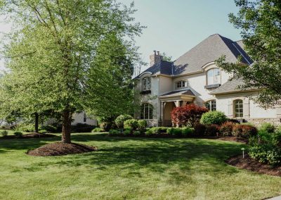 Petras project frontyard