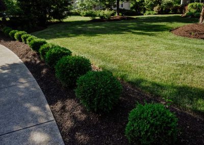 Petras project flower bed