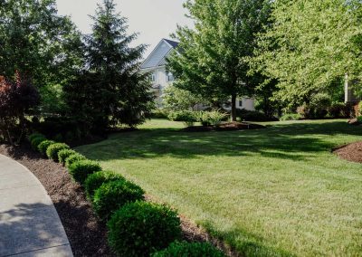 Petras project grass