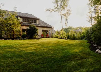 Sahni project grass backyard