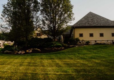 Sahni project grass backyard