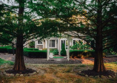 Sowinski project trees