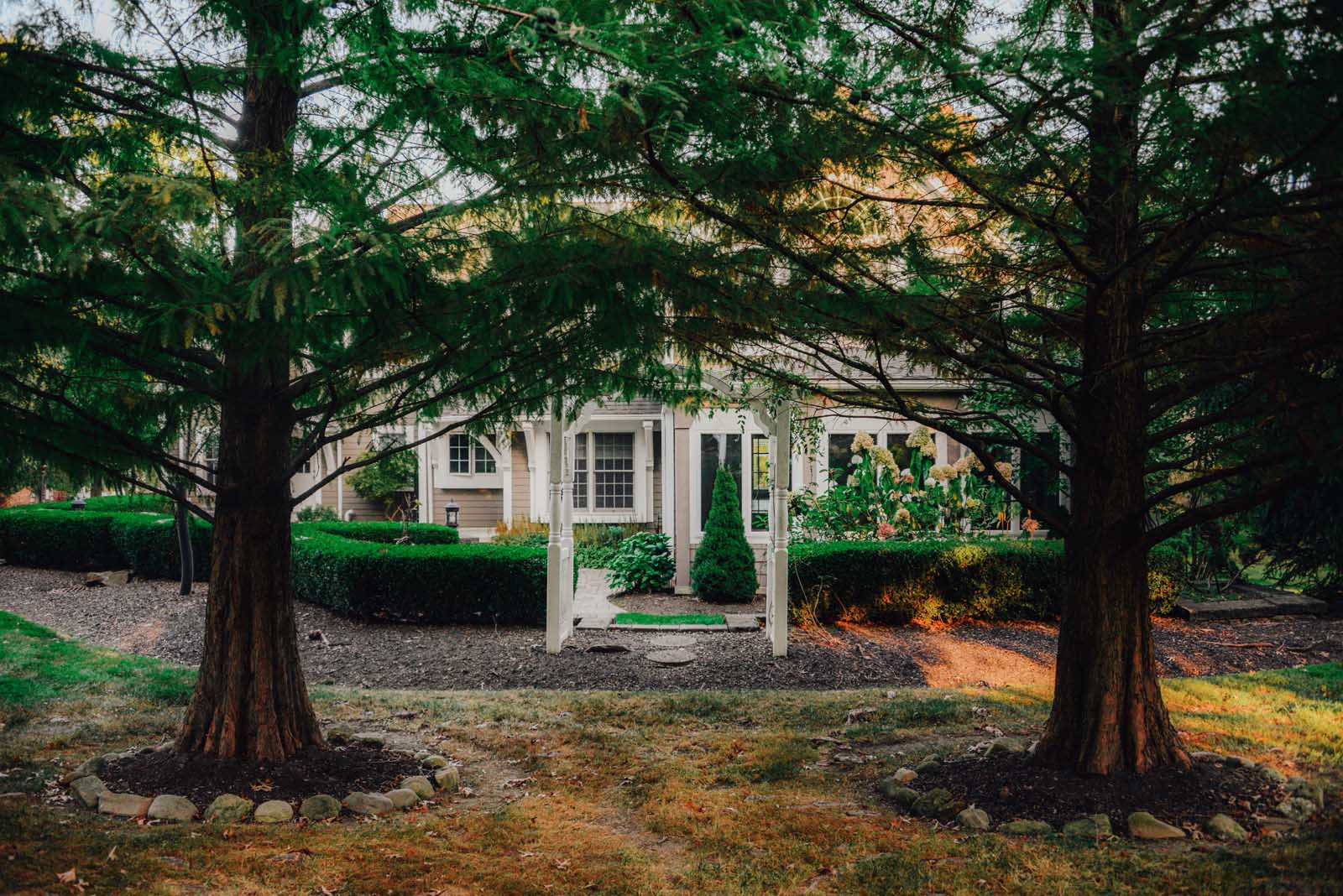 Sowinski project trees