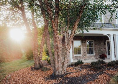 Sowinski project trees