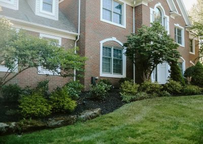 Stillings project trees grass